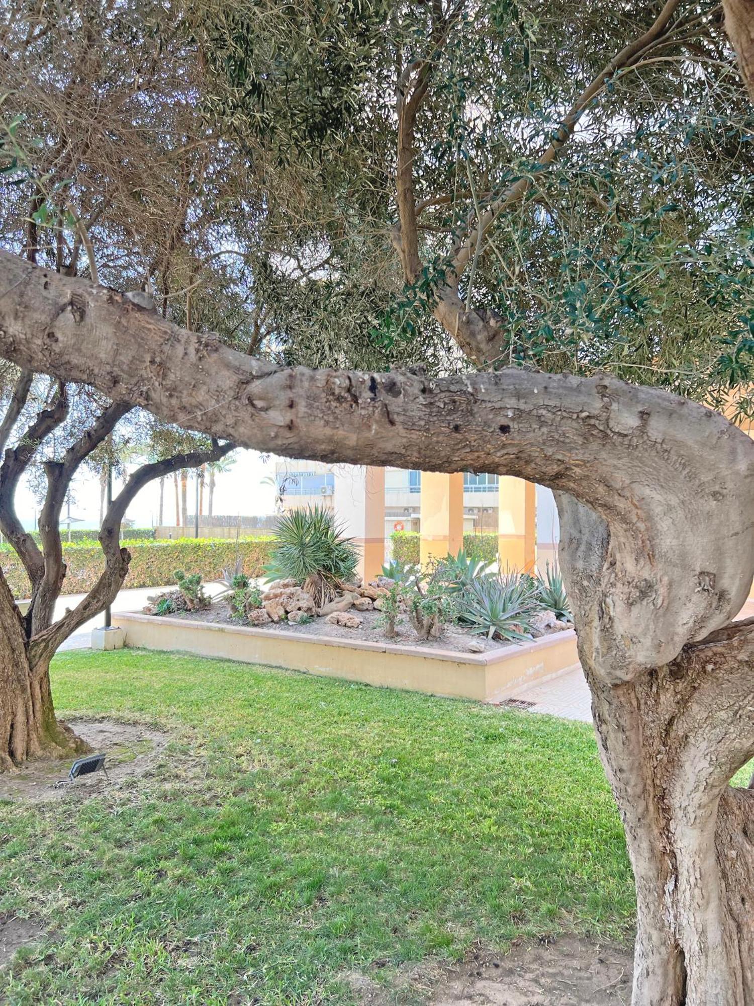 Apartament Oasis Frente Al Mar. Parking Gratis El Campello Zewnętrze zdjęcie