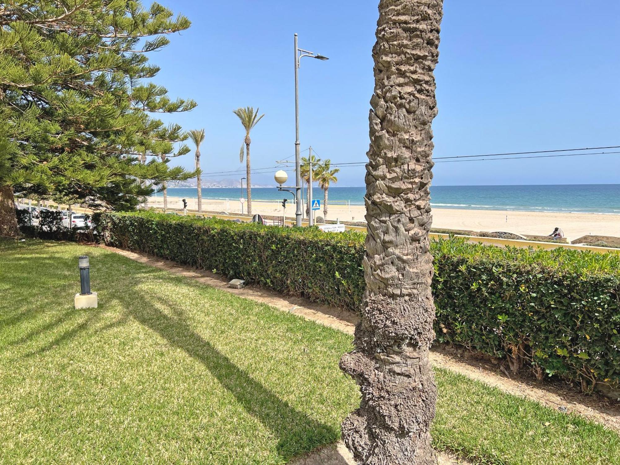 Apartament Oasis Frente Al Mar. Parking Gratis El Campello Zewnętrze zdjęcie